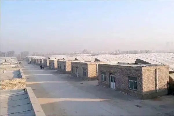 山西鑫大地花卉基地安装了纽恩泰空气能热泵
